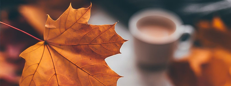 فروشگاه لوازم خانگی آلتاهوم