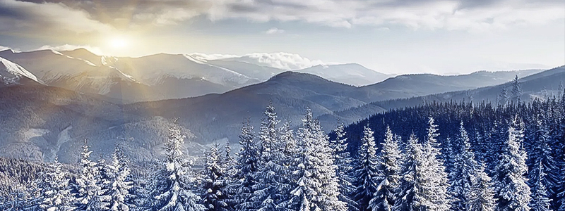 فروشگاه لوازم خانگی آلتاهوم