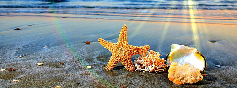 فروشگاه لوازم خانگی آلتاهوم